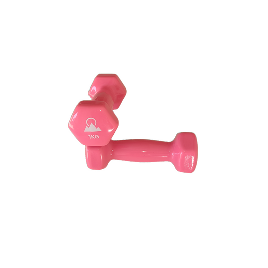 Horizon King Vinyl Kaplı Dökme Demir Altıgen Çift Dambıl